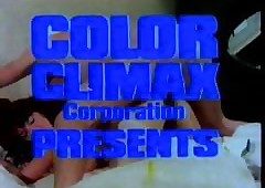 Color Culmination familiarize with Rodox no. 392 Retro Porn