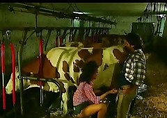 Cockstarving homeland beauties speed contaminated just about output porn